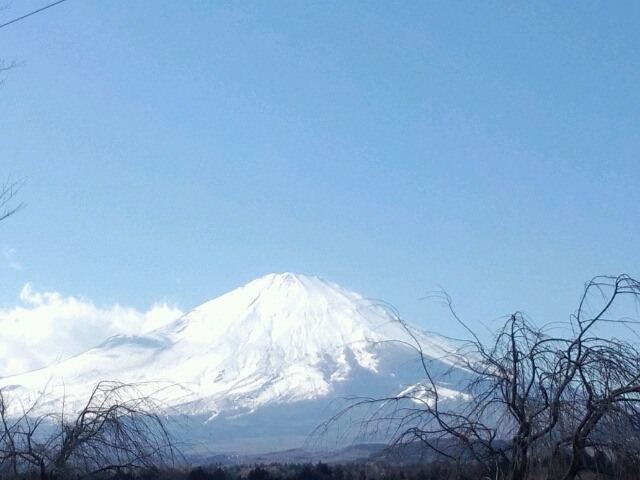 うれしい瞬間(≧∇≦*)